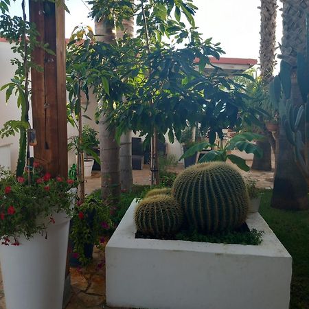Villa Raggio Di Sole Parcheggio Privato Porto Cesareo Ngoại thất bức ảnh