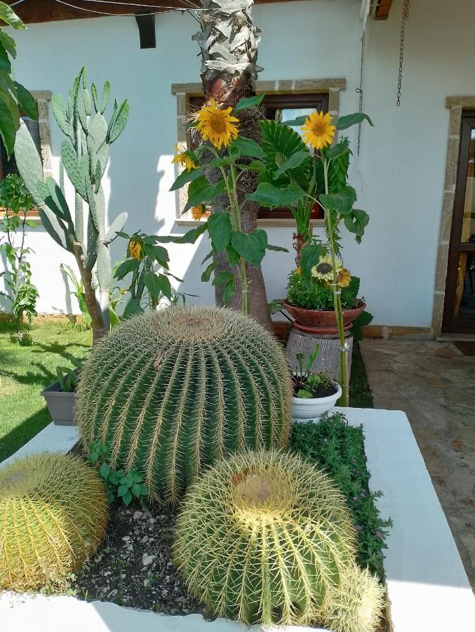Villa Raggio Di Sole Parcheggio Privato Porto Cesareo Ngoại thất bức ảnh