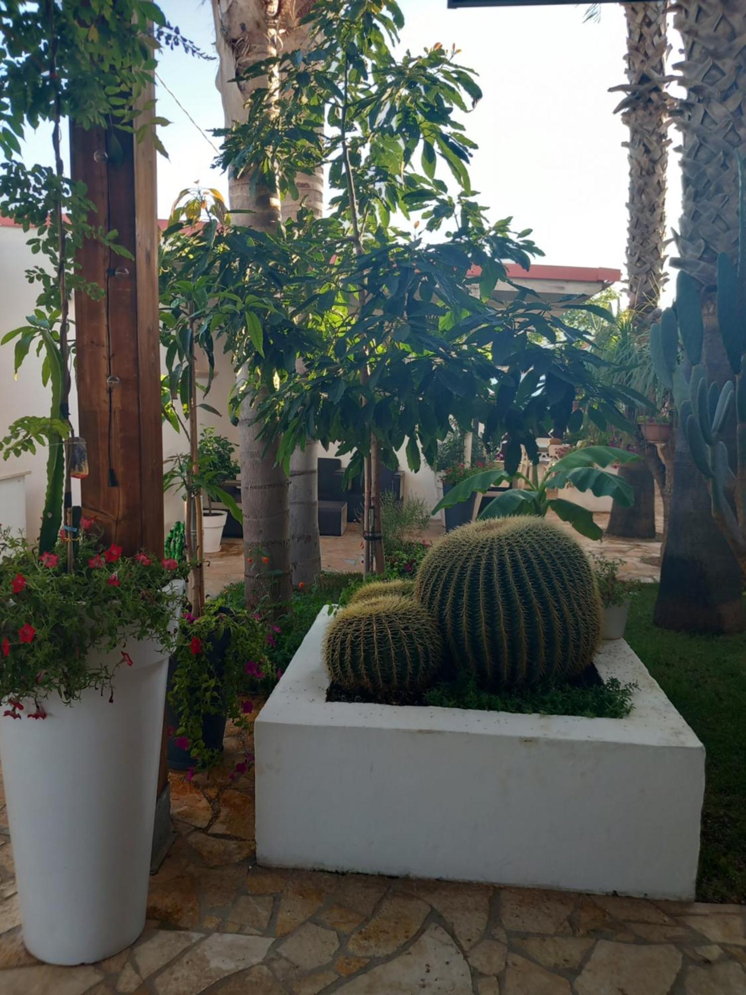 Villa Raggio Di Sole Parcheggio Privato Porto Cesareo Ngoại thất bức ảnh